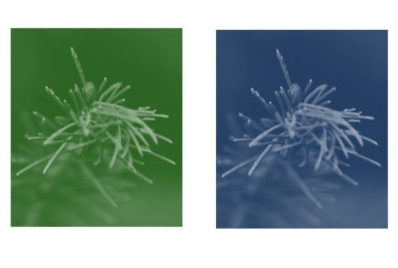 Unlocking Precision and Efficiency with the Brush 46 Set
